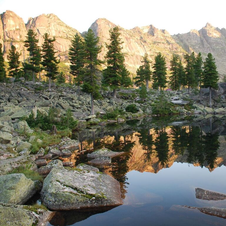 182103823_462263418372980_5113218952865664469_n