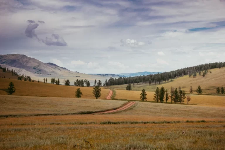 Ада Тюлюш (13)